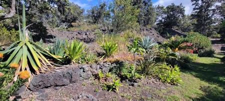Serene 2 Bedroom 2 Bath Gem on 2 acres on Big Island Hawaii - image 8