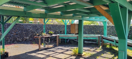 Serene 2 Bedroom 2 Bath Gem on 2 acres on Big Island Hawaii - image 7