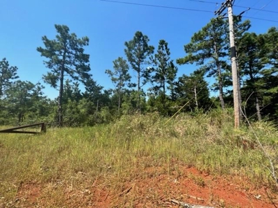 East Texas Vineyard Property For Sale Daingerfield Texas - image 8