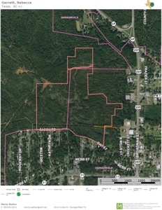 East Texas Vineyard Property For Sale Daingerfield Texas - image 1