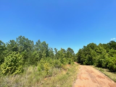 East Texas Vineyard Property For Sale Daingerfield Texas - image 4
