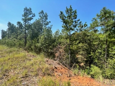 East Texas Vineyard Property For Sale Daingerfield Texas - image 12