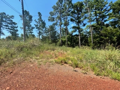 East Texas Vineyard Property For Sale Daingerfield Texas - image 7
