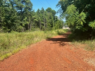 East Texas Vineyard Property For Sale Daingerfield Texas - image 6