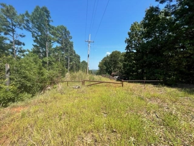 East Texas Vineyard Property For Sale Daingerfield Texas - image 14