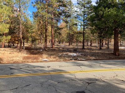 Fall River Valley buildable lot - image 4