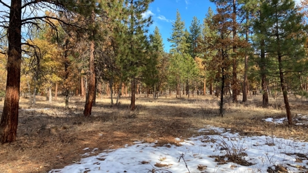 Fall River Valley buildable lot - image 2