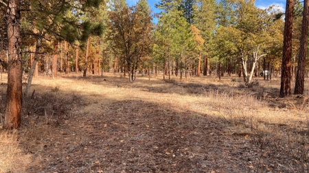 Fall River Valley buildable lot - image 3