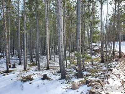 Level Lot in Mountains Close It All! - image 5