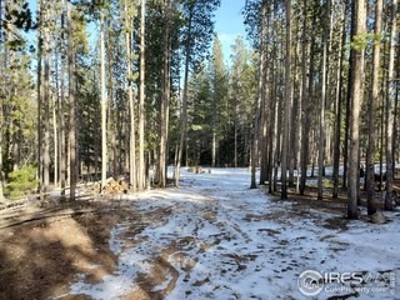 Level Lot in Mountains Close It All! - image 9