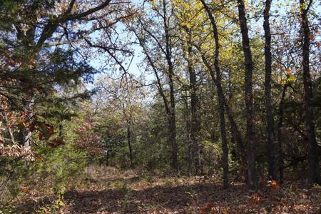 Recreational Land and Homesite, For Sale, Carney, OK - image 6