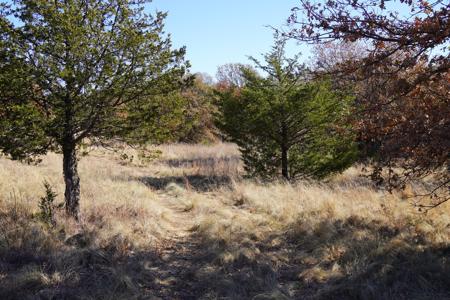 Recreational Land and Homesite, For Sale, Carney, OK - image 4