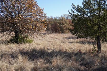 Recreational Land and Homesite, For Sale, Carney, OK - image 10