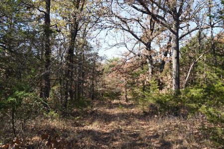 Recreational Land and Homesite, For Sale, Carney, OK - image 8