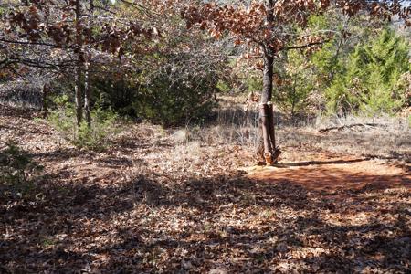 Recreational Land and Homesite, For Sale, Carney, OK - image 7