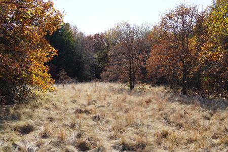 Recreational Land and Homesite, For Sale, Carney, OK - image 9