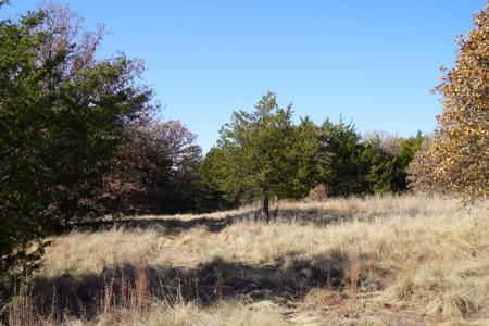 Recreational Land and Homesite, For Sale, Carney, OK - image 3