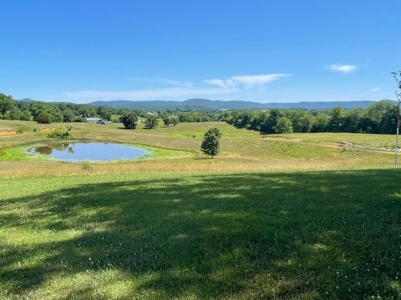 Lot for Sale in Clinton County, KY - image 1