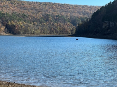 Greers Ferry Lake Area Home on 4.1 Acres For Sale - image 3