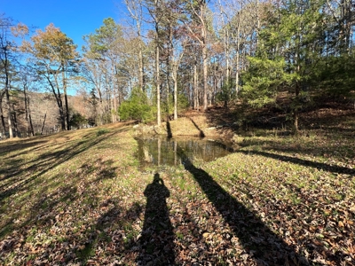 Greers Ferry Lake Area Home on 4.1 Acres For Sale - image 16