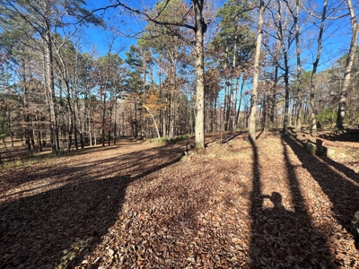 Greers Ferry Lake Area Home on 4.1 Acres For Sale - image 46