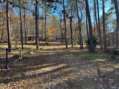 Greers Ferry Lake Area Home on 4.1 Acres For Sale - image 11