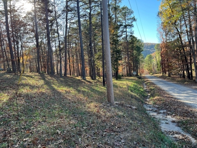 Greers Ferry Lake Area Home on 4.1 Acres For Sale - image 8