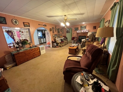 Greers Ferry Lake Area Home on 4.1 Acres For Sale - image 32