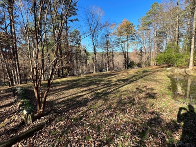 Greers Ferry Lake Area Home on 4.1 Acres For Sale - image 15