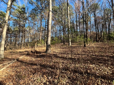 Greers Ferry Lake Area Home on 4.1 Acres For Sale - image 14