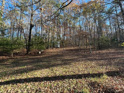 Greers Ferry Lake Area Home on 4.1 Acres For Sale - image 13