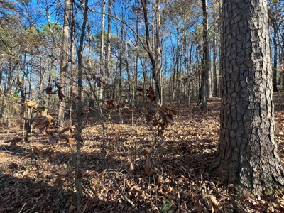 Greers Ferry Lake Area Home on 4.1 Acres For Sale - image 22