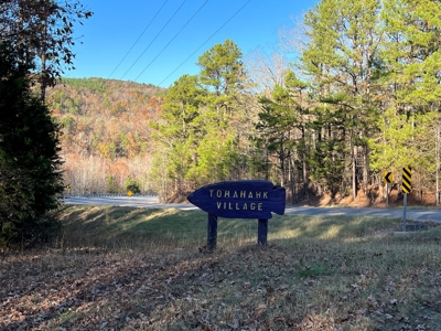 Greers Ferry Lake Area Home on 4.1 Acres For Sale - image 2