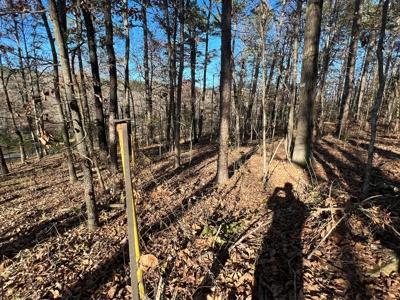 Greers Ferry Lake Area Home on 4.1 Acres For Sale - image 10