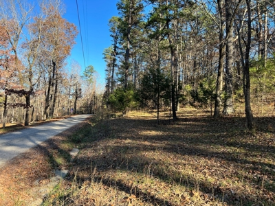 Greers Ferry Lake Area Home on 4.1 Acres For Sale - image 9