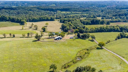 Accepted Offer in Kentucky - image 4