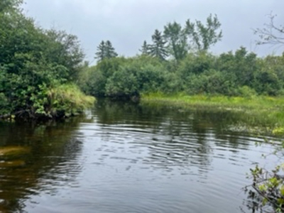 Recreational land for sale - image 1