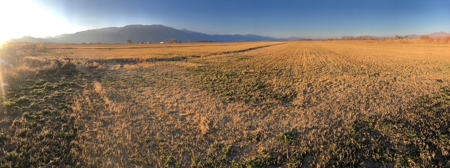 Smith, Nevada Farm Ranch Land Hay Barn Water Rights For Sale - image 2