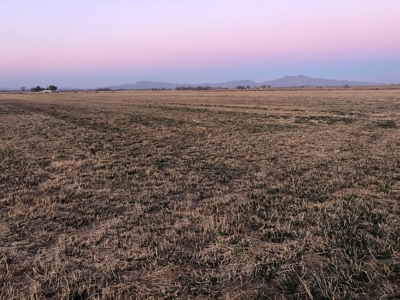 Smith, Nevada Farm Ranch Land Hay Barn Water Rights For Sale - image 8