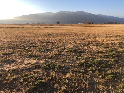 Smith, Nevada Farm Ranch Land Hay Barn Water Rights For Sale - image 1