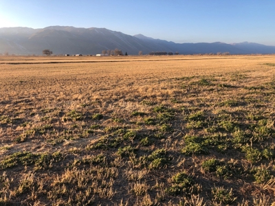 Smith, Nevada Farm Ranch Land Hay Barn Water Rights For Sale - image 24