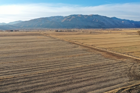 Smith, Nevada Farm Ranch Land Hay Barn Water Rights For Sale - image 39