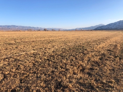 Smith, Nevada Farm Ranch Land Hay Barn Water Rights For Sale - image 13