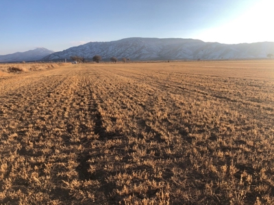 Smith, Nevada Farm Ranch Land Hay Barn Water Rights For Sale - image 22