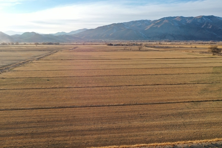 Smith, Nevada Farm Ranch Land Hay Barn Water Rights For Sale - image 42