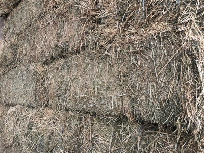 Smith, Nevada Farm Ranch Land Hay Barn Water Rights For Sale - image 5