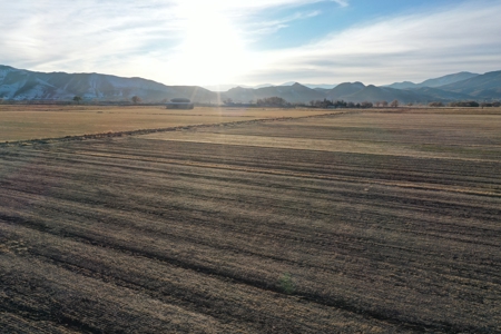 Smith, Nevada Farm Ranch Land Hay Barn Water Rights For Sale - image 44