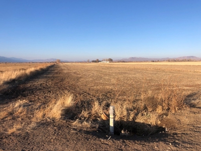 Smith, Nevada Farm Ranch Land Hay Barn Water Rights For Sale - image 11
