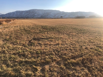 Smith, Nevada Farm Ranch Land Hay Barn Water Rights For Sale - image 15