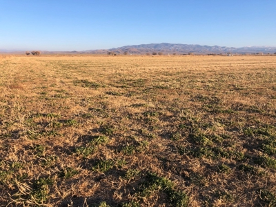 Smith, Nevada Farm Ranch Land Hay Barn Water Rights For Sale - image 16